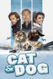 Cat and Dog 2024 FULL – Cinemgn