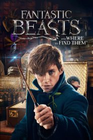 Fantastic Beasts and Where to Find Them 2016 FULL – Cinemgn