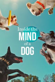 Inside the Mind of a Dog 2024 FULL – Cinemgn