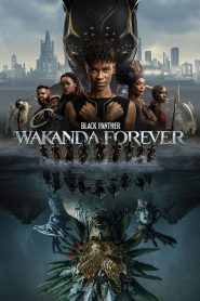 Black Panther: Wakanda Forever 2022 FULL – Cinemgn